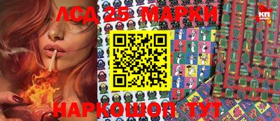 spice Абакан