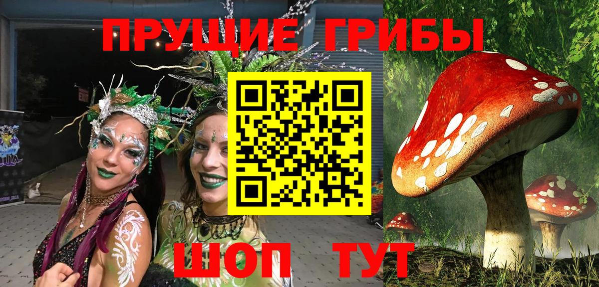 Алатырь  где купить наркотик  Вход с VPN  Псилоцибиновые грибы мицелий  Псилоцибиновые грибы мицелий 