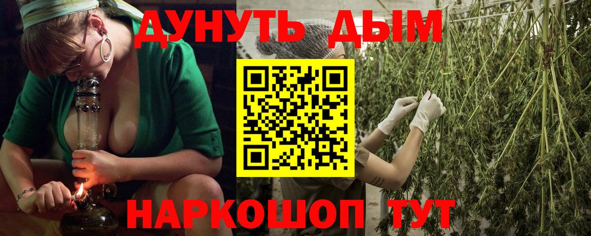 Каннабис ГИДРОПОН  Бошки Шишки Ganja  Бошки Шишки планчик  Вход с VPN  Алатырь 